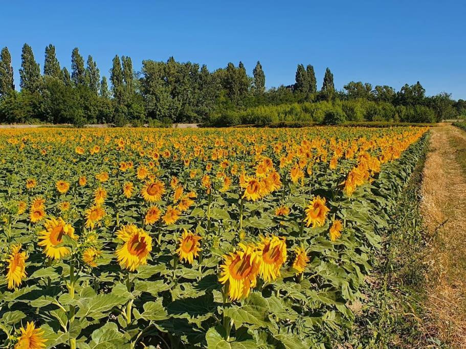 Willa L'Ardeche En Provence Avec Jardin Ombrage Pont-Saint-Esprit Zewnętrze zdjęcie